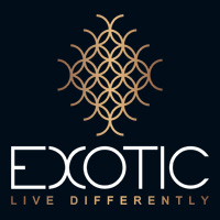 Developer Logo