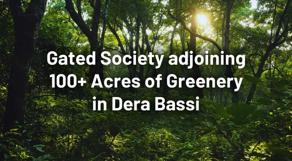 plots in dera bassi with greenery
