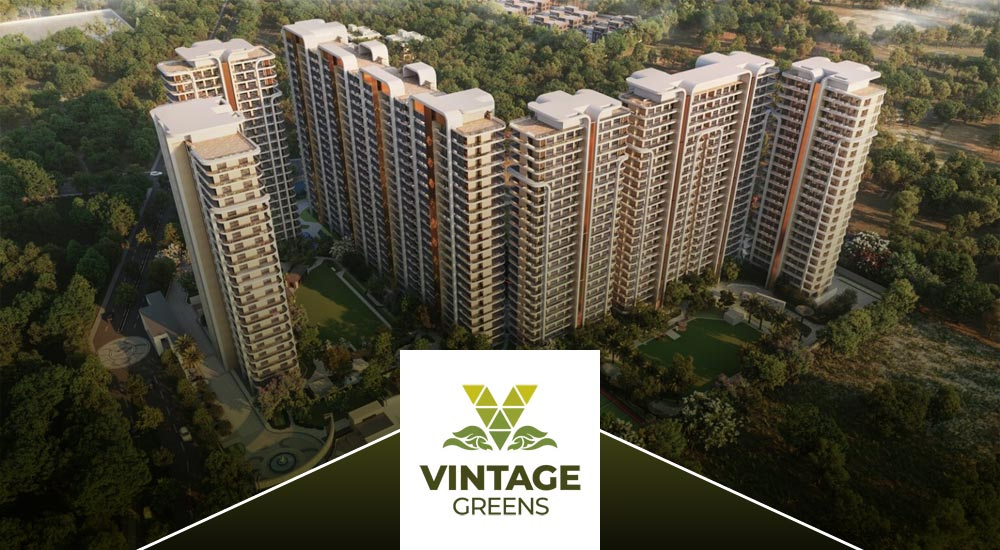 vintage buildtech zirakpur